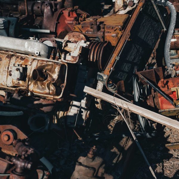 pexels-alfomedeiros-21470313-transformed